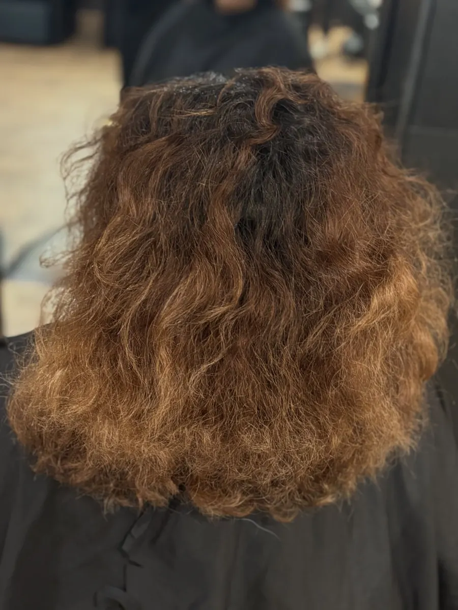 Before: brassy, dry curly hair