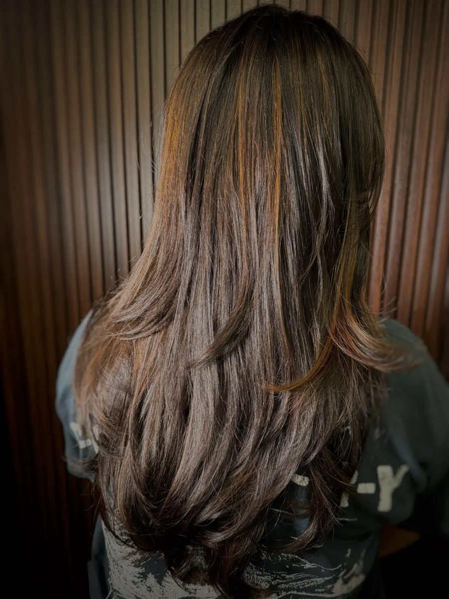 Sun-kissed highlights on long dark hair